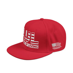 'Live Free' Distressed Flag Design - Embroidered Snapback Hat