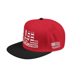 'Live Free' Distressed Flag Design - Embroidered Snapback Hat